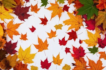 Vibrant Autumn Leaves and Colorful Foliage on White Background