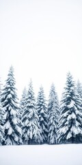 Snow-covered fir trees standing tall in a winter wonderland, with soft snowflakes gently falling from the sky, serene
