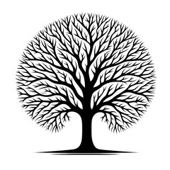 Black silhouette of a tree with intricate branches.