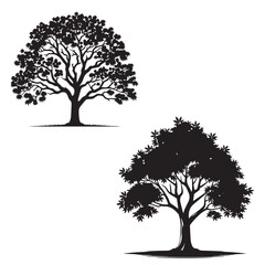 Pecan  tree  silhouette  set -  pecan vector image - Fruit tree - tree icon set 