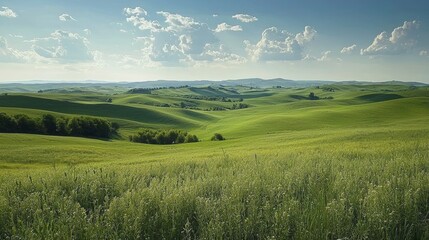 Fototapeta premium A serene landscape of rolling green hills under a bright blue sky, dotted with fluffy clouds, capturing the beauty of nature's tranquility.