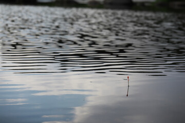 Peaceful Lakeside Fishing with a Single Bobber Floating on Calm Water