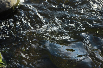 Tranquil Flowing Stream with Reflections and Sunlight Patterns in Nature
