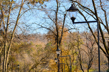A serene autumn scene with a street lined with trees and street lights. The street lights are lit up, creating a warm and inviting atmosphere. The trees are in various stages of autumn.