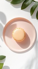 Obraz premium Elegant French Macaron on Minimalist Pink Plate with Leaf Shadows in Soft Natural Light