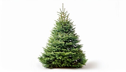 Fototapeta premium Christmas tree on isolated white background.