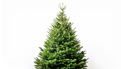 Fototapeta premium Christmas tree on isolated white background.