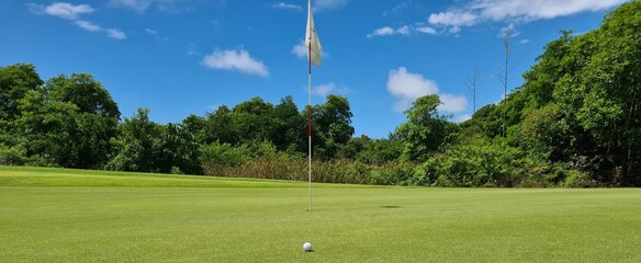 Golf ball in front of a flag on green