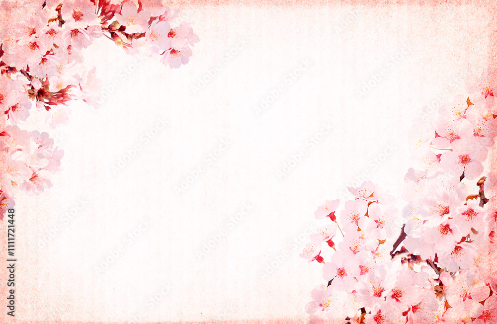 Aufkleber spring background with beautiful blooming sakura and striped cardboard texture. horizontal banner wi