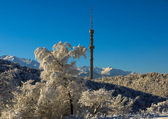 Almaty is the largest city in the country, which for almost 70 years was the capital of Kazakhstan.