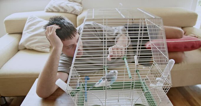 Young man lying on sofa lovingly stroking pet parakeet through cage at home. Shows loving care, gentle interaction.