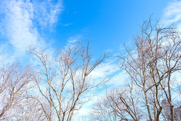 Buildings and architectures in Melbourne CBD 