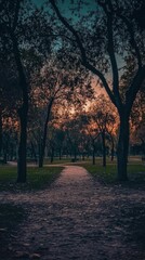Fototapeta premium A serene pathway through trees at sunset in a tranquil park setting.