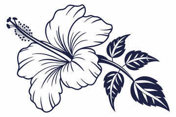 Hibiscus Flower Outline, Hibiscus Flower, Hibiscus flower vector illustration with line art,  Hand drawn hibiscus flower, Line Art Hibiscus Flower