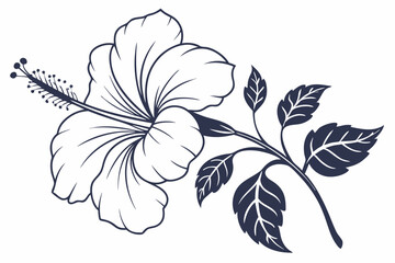Hibiscus Flower Outline, Hibiscus Flower, Hibiscus flower vector illustration with line art,  Hand drawn hibiscus flower, Line Art Hibiscus Flower