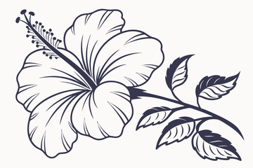 Hibiscus Flower Outline, Hibiscus Flower, Hibiscus flower vector illustration with line art,  Hand drawn hibiscus flower, Line Art Hibiscus Flower