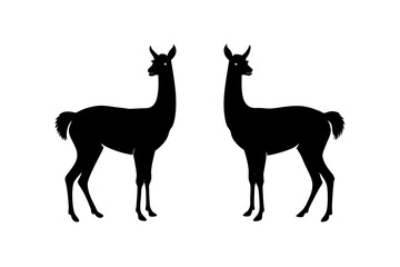 Guanaco vector silhouette.