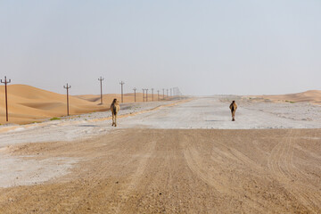 two camel in Abu Dhabi Al Qua desert in United Arab Emirates.