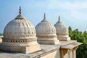 Obraz premium Ornate domes adorn a building's rooftop.