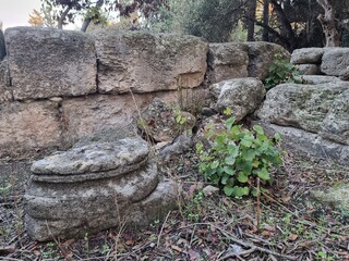 Ruins of an ancient synagogue . Israel 