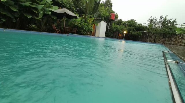 Slow Motion Close up or low angle view of Swimming Pool. Calathea lutea (Cuban Cigar Pampano) growth and breezing by wind beside the swimming pool. 