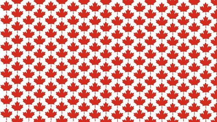 Canada Day pattern background illustration with red maple leaf illustration	
