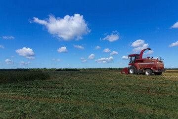 Red harvester in a rural field. Grain harvesting concept on a sunny summer day, side view.