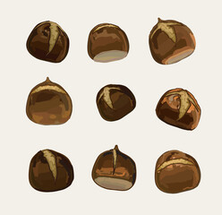 set of roasted chestnut fall delicous food realistic vector illustration on white background