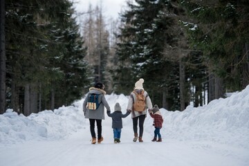 Rear view of family is enjoying winter holiday in the mountains, holding hands while walking through the snowy forest.