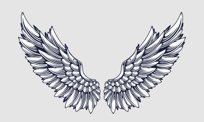 vector angel wings line art style. Classic wings tribal tattoo With a white background.