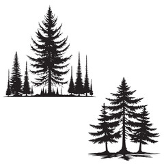 Fototapeta premium Tamarach tree silhouette - North American larch - vector of tamarach tree - tall tree - wood tree