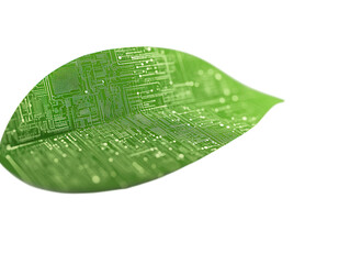 Green leaf with digital circuit pattern, isolated on a white background.  PNG transparent.
