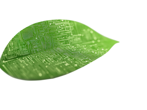 Green leaf with digital circuit pattern, isolated on a white background.  PNG transparent.