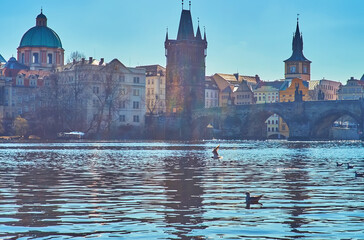 The sunny Vltava against the Old Town domes and towers, Prague, Czechia
