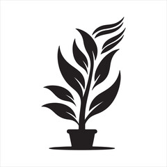 black and white silhouettes of plant