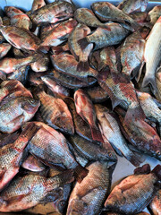 Fish market. Fresh fish on the counter. Day. Autumn. Egypt.