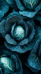 Obraz premium vibrant green cabbage heads, ready for cooking or pickling in the vegetable garden, showcasing their crisp leaves and rich colors. The background is filled with other plants and vegetables growing on 