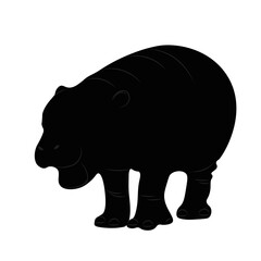hippopotamus