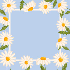 Vector frame for postcard or poster with daisies. Chamomile floral illustration for congratulations or decor etc. Flowers for spring and summer holidays. Festive template can add text.