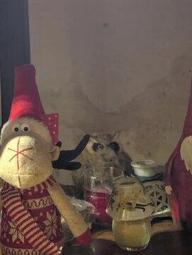 Decorazioni natalizie