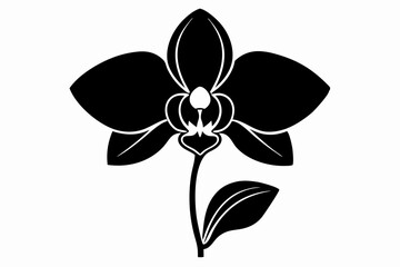 A simple Evening Orchid silhouette black vector white background