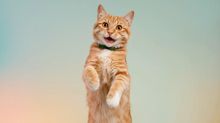 Happy Cat Jumping in the Air with Funny Expression - Playful Feline, Joyful Moment, Cute Cat, Lighthearted Mood, Fun Illustration, Pastel Blue Background, Energetic Jump, Adorable Animal Expression