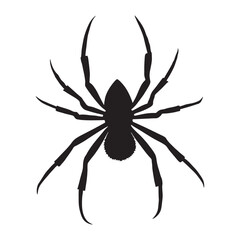 Spider silhouette, spider icon vector art illustration isolated on white background.