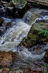 Flowing waterfall action serene forest location nature content peaceful environment close-up viewpoint tranquility concept for seo impact