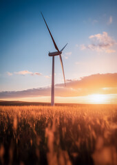 Obraz premium Sunset view of a lone wind turbine in an expansive wheat field, bathed in golden light and a serene, open horizon.