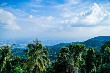 Breathtaking aerial view of lush tropical landscape in scenic nature vibrant greenery and sky captivating serenity