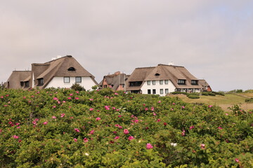 Blick auf die Küstenlandschaft bei Rantum auf der Nordfriesischen Insel Sylt	