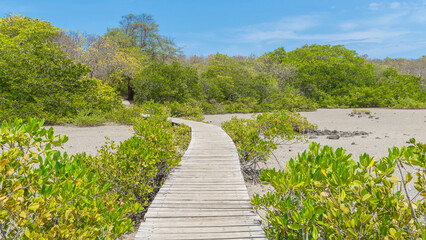 Passerelle pour aller à la plage de l'anse Michel au Marin, Martinique, Antilles Françaises.