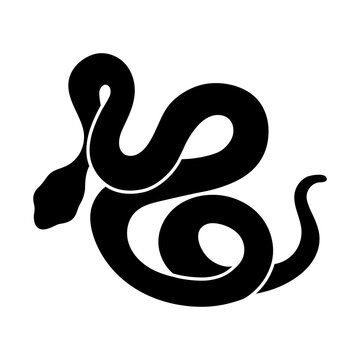 Black silhouette of snake. Reptile illustration. Clipart boa constrictor, cobra, grass snake, python Isolated on white background