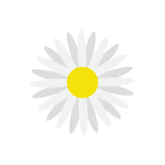 Aster vector icon